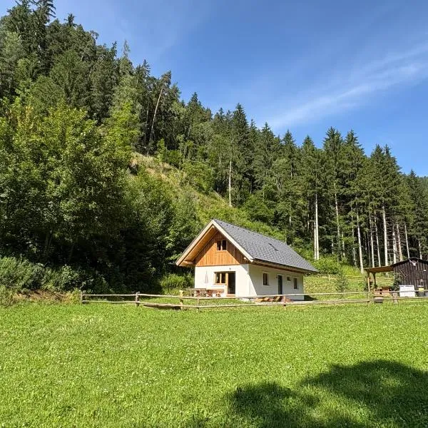 Grobmbauerhütte，位于Sankt Stefan ob Leoben的酒店