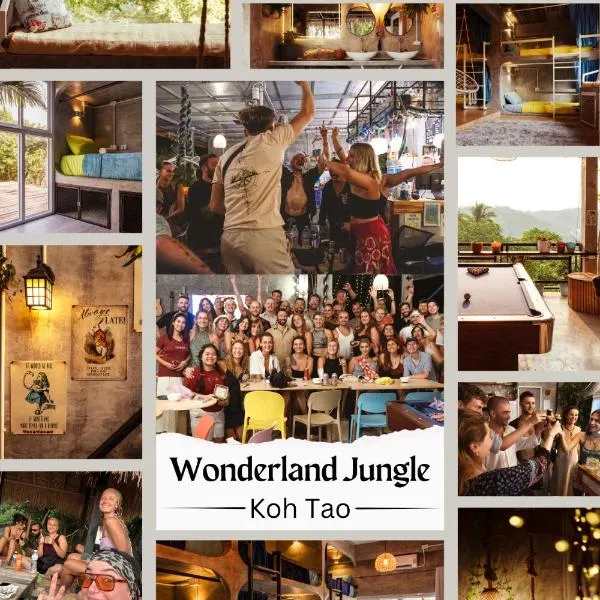 Wonderland Jungle Hostel，位于涛岛的酒店