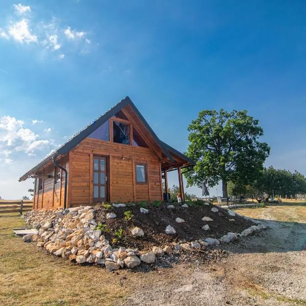 Brvnara Lina-Marija - Zlatibor，位于Železnička Stanica Branešci的酒店