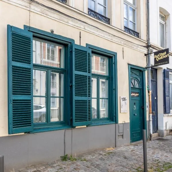 Au Chat Qui Dort Lille - Archives 3，位于里尔的酒店