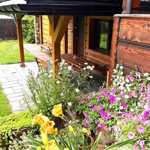 Apartament w Bieszczadach - Willa Stasia，位于Ustianowa的酒店