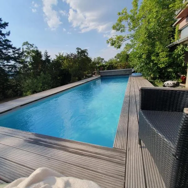 Doppelzimmer mit neuem Bad und Sportpool-Nutzung außen, Villa Naturpark, Garten mit Rheinblick，位于科布伦茨的酒店