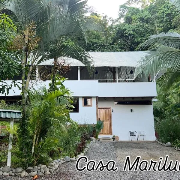 Entire home plus pool between Cahuita and Puerto Viejo Excellent Location，位于别霍港的酒店