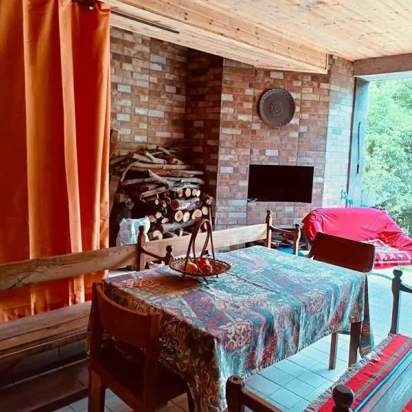 Mountain View Guesthouse，位于迪利然的酒店