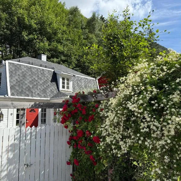 Villa Rjukan，位于尤坎的酒店