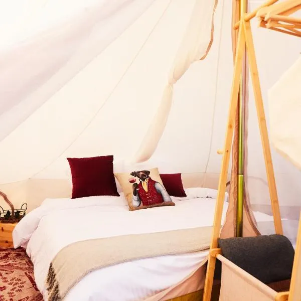 bosco glamping，位于Modrzewek的酒店