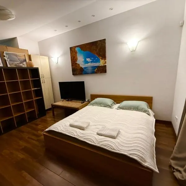 CENTRO House，位于阿利图斯的酒店