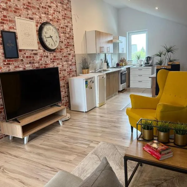 120m2 APARTAMENT LAS I JEZIORO，位于奇武胡夫的酒店