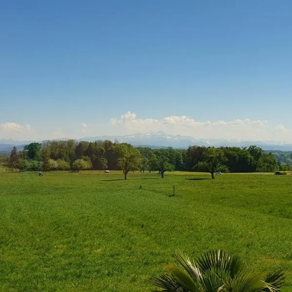 JM Swiss Space，位于Langrickenbach的酒店