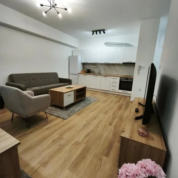 Bukefal apartment 1，位于Petrovec的酒店