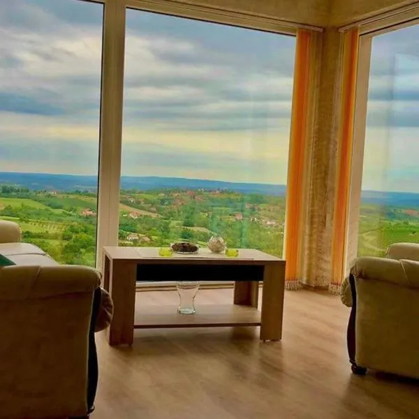 Vila POGLED，位于阿然德洛维克的酒店