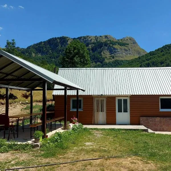 Eco Guesthouse Somina，位于Šavnik的酒店