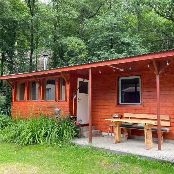 Bungalow 55 Naturcamping Ziegenrück Plothental，位于齐根吕克的酒店