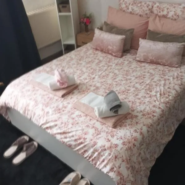 flowers room au coeur de saint Ouen parking gratuit，位于圣旺的酒店