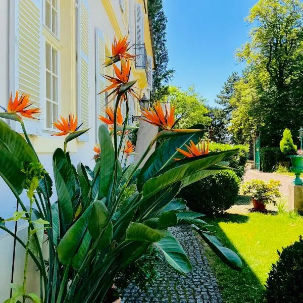 Villa Schloss Rimsingen Fine Apartments，位于莱茵河畔的布赖萨赫的酒店