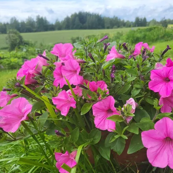 Marija，位于克拉斯拉瓦的酒店