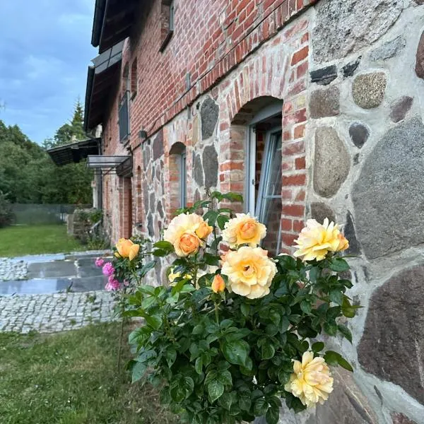 Mierunia Nature,位于Mieruniszki的酒店
