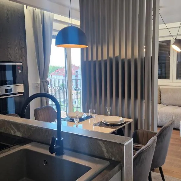 Palace apartments 23 - Free parking，位于斯雷姆斯卡米特罗维察的酒店