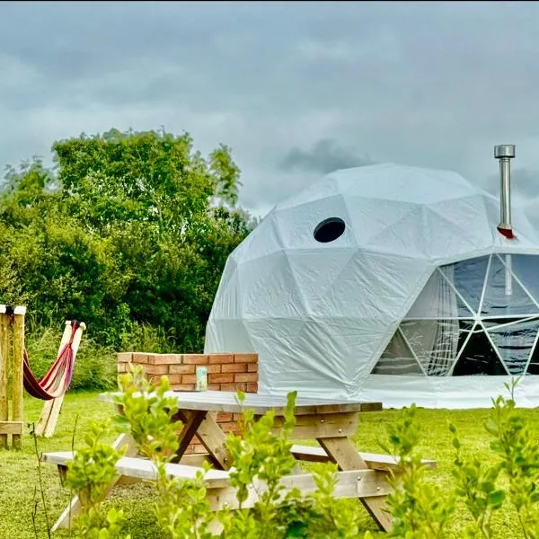 Alpaca Geo Dome，位于Llanstadwell的酒店