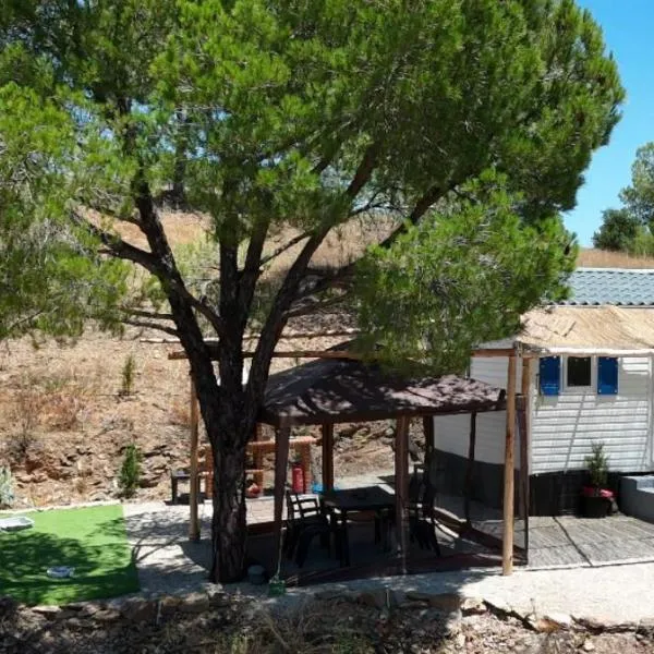 Into the wild，位于阿尔科廷的酒店