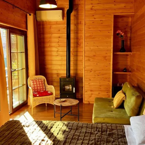 ANDRIANA Mountain Home，位于Aspriá的酒店