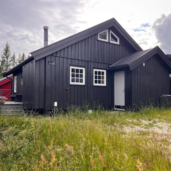 Hytte på Norefjell，位于Surteberg的酒店