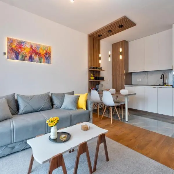 Apartman T&NI，位于兹拉蒂博尔的酒店