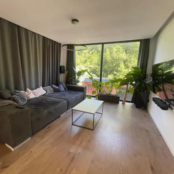 Modernes Apartment - zentral - nahe Hamburg & Lübeck，位于巴特奥尔德斯洛的酒店