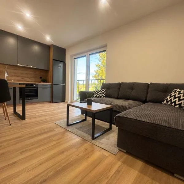 Apartament Mai，位于奥斯特罗达的酒店