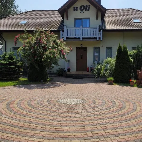 Pokoje Gościnne u Oli，位于维塞乌卡的酒店