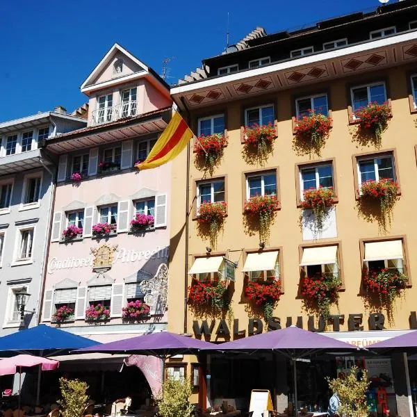 Hotel & Restaurant Waldshuter Hof，位于瓦尔茨胡特田根的酒店
