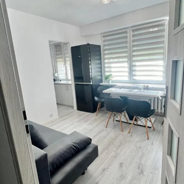 Zakole Street，位于科宁的酒店