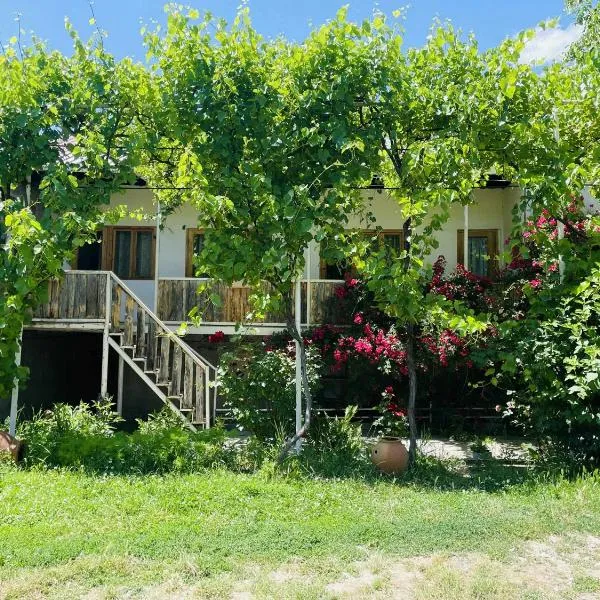 Guest House Aleksandre，位于T'mogvi的酒店