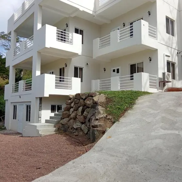 J & L Golf Course Apartments，位于Belmont的酒店