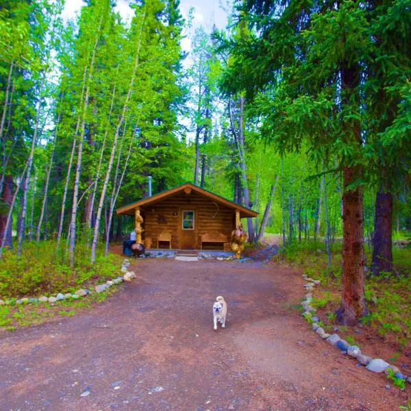 Carlo Creek Cabins，位于麦金利公园的酒店