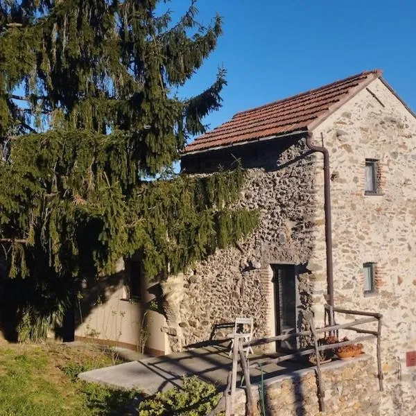 La Torretta di Segno，位于Segno的酒店