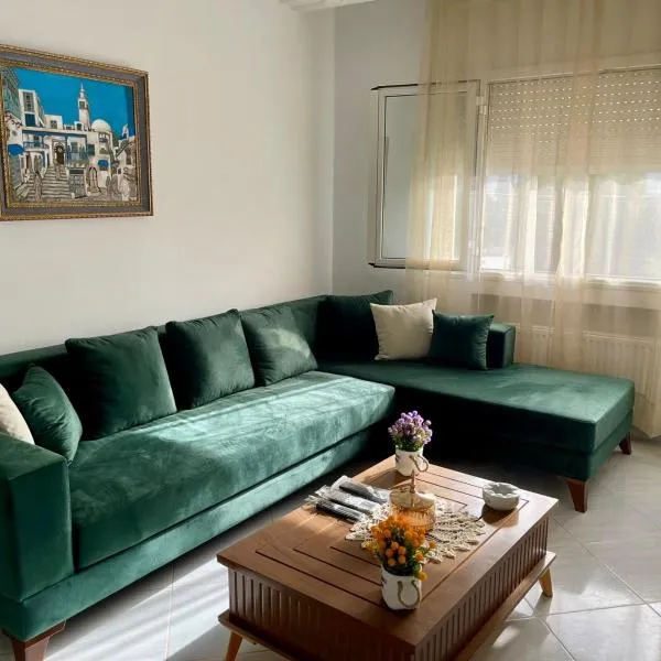 Grand Appartement Carthage，位于突尼斯的酒店