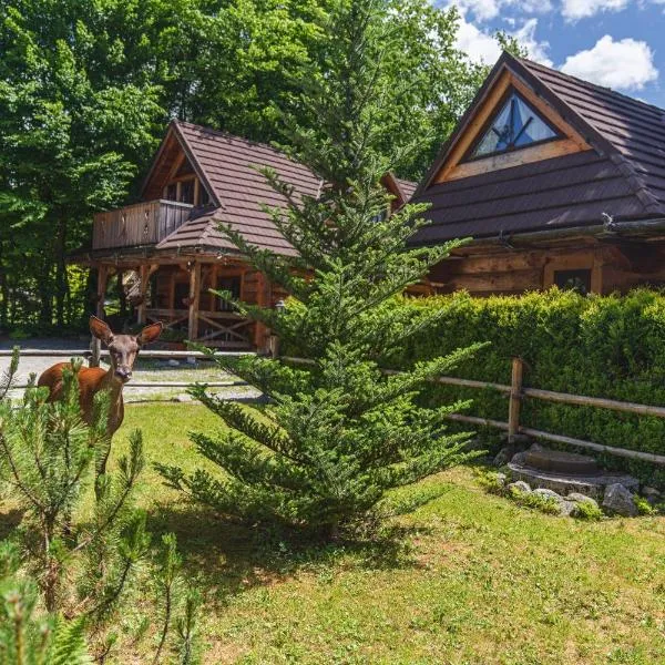 Mountain Shelter Zakopane，位于扎科帕内的酒店