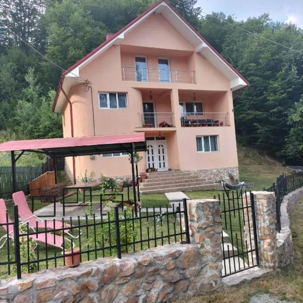 Casă de vacanță Lidia，位于阿尔巴克的酒店