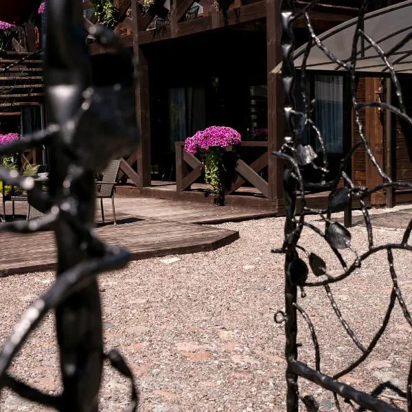 Pajurio Vingis，位于帕兰加的酒店