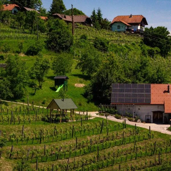 Vineyard cottage Škatlar 3，位于奥托亚克的酒店