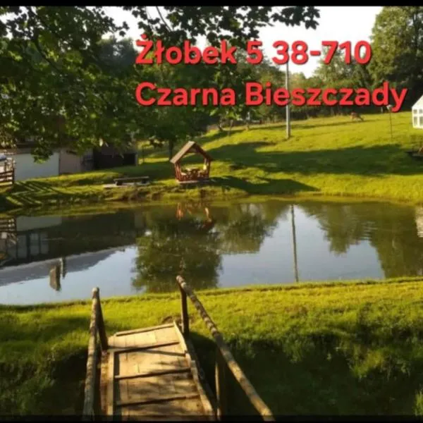 Restauracja Hotel Koło do Wozu，位于Żłobek的酒店