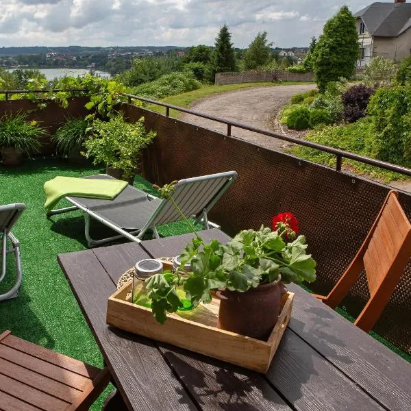 U Ludwiki，位于切米诺的酒店