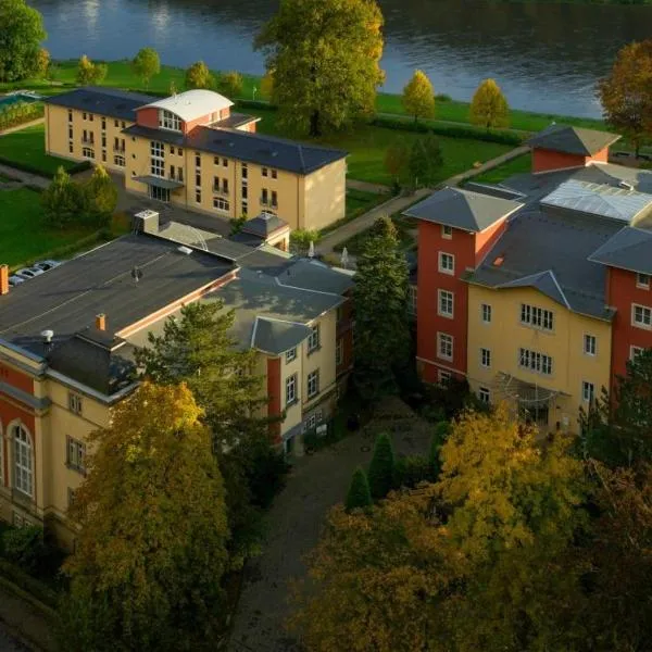 Parkhotel Bad Schandau - direkt an der Elbe，位于巴特尚道的酒店
