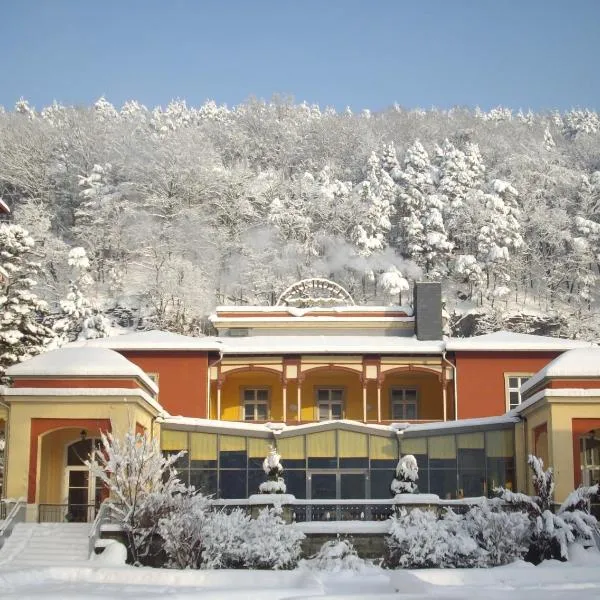 Parkhotel Bad Schandau mit SPA，位于巴特尚道的酒店