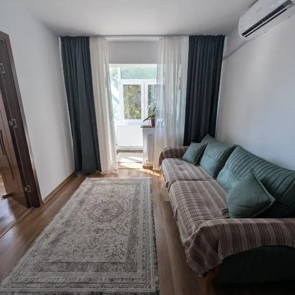 Apartamentul Anei，位于康斯坦察的酒店