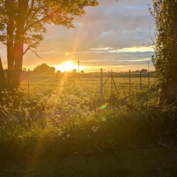 Urlaub auf dem Alpakahof Nähe Velgast，位于Velgast的酒店