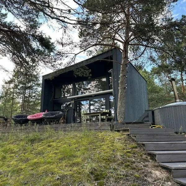 Privaatne saunamajaga suvila Peipsi kaldal，位于Katase的酒店