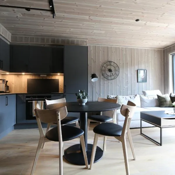 Stylish apartment in Hemsedal, Ski in-ski out，位于海姆瑟达尔的酒店