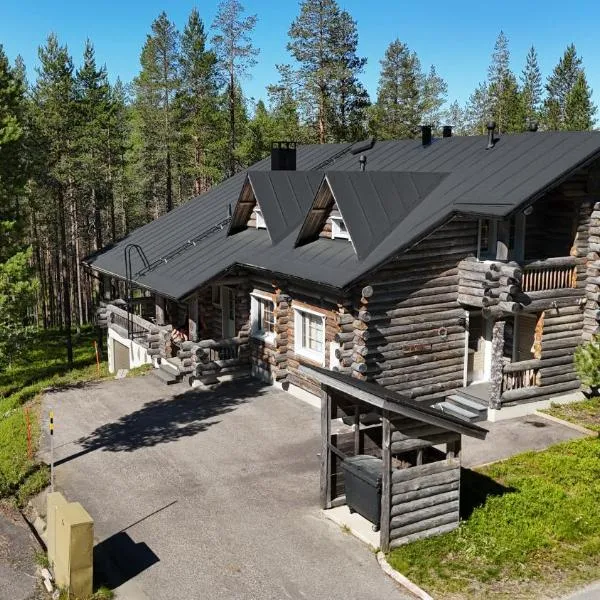 Villa Aatu Levi Ski-in Ski-out，位于列维的酒店